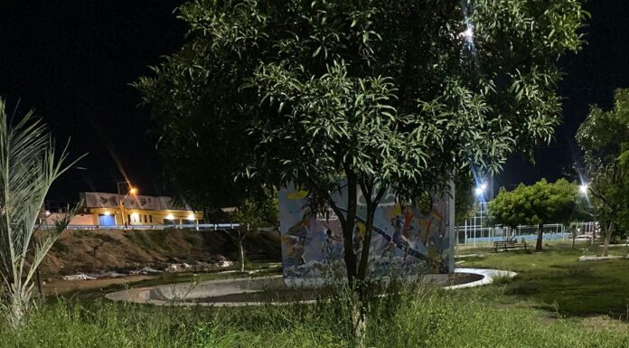 Moradora chama atenção para Lagoa do Calu, em Juazeiro: “espaço completamente abandonado”