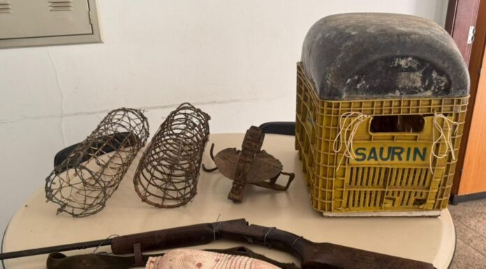 PM apreende arma de fogo e combate caça ilegal de animais silvestres em maniçoba, distrito de Juazeiro