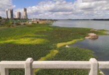 “A Petrolina que não coube no vídeo de Anderson 196 e os ataques a Juazeiro”, por Sibelle Fonseca