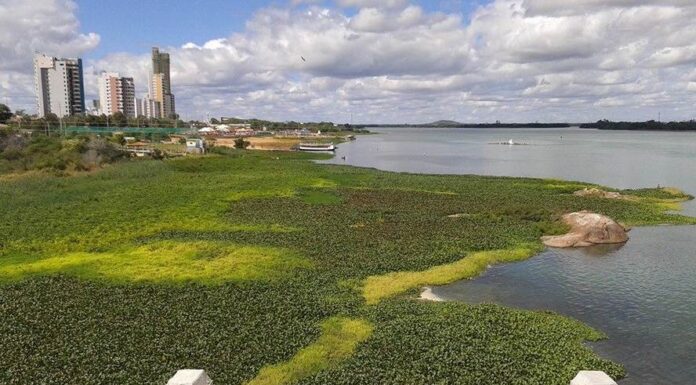 “A Petrolina que não coube no vídeo de Anderson 196 e os ataques a Juazeiro”, por Sibelle Fonseca