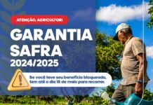 Garantia Safra: prazo para recurso contra bloqueio de benefício termina 18 de maio