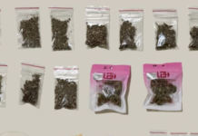 Dois homens são presos por tráfico de drogas durante ação da PM no bairro Coréia, em Juazeiro