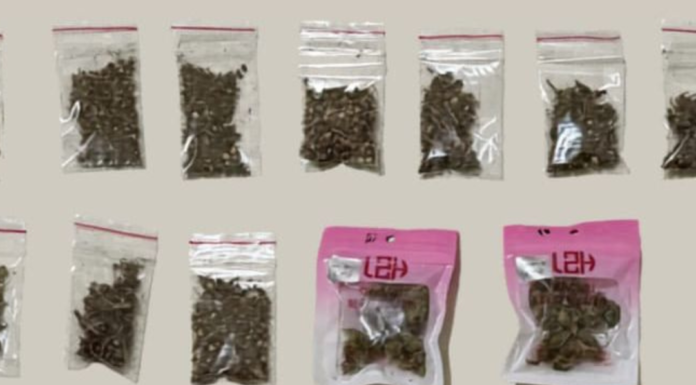 Dois homens são presos por tráfico de drogas durante ação da PM no bairro Coréia, em Juazeiro