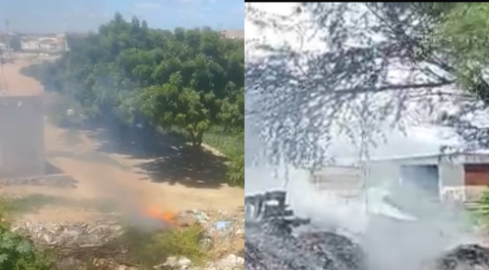 Moradores reclamam de queimadas irregulares em Juazeiro e solicitam ação do poder público: “não aguentamos mais”