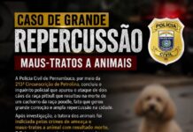 Delegado pede perda da guarda de pitbulls após ataque que matou poodle em Petrolina