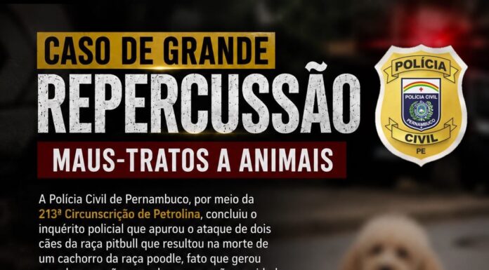 Delegado pede perda da guarda de pitbulls após ataque que matou poodle em Petrolina