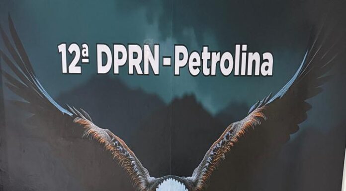 Polícia Civil desarticula laboratório de refino de drogas e apreende mais de 14 kg de cocaína em Petrolina