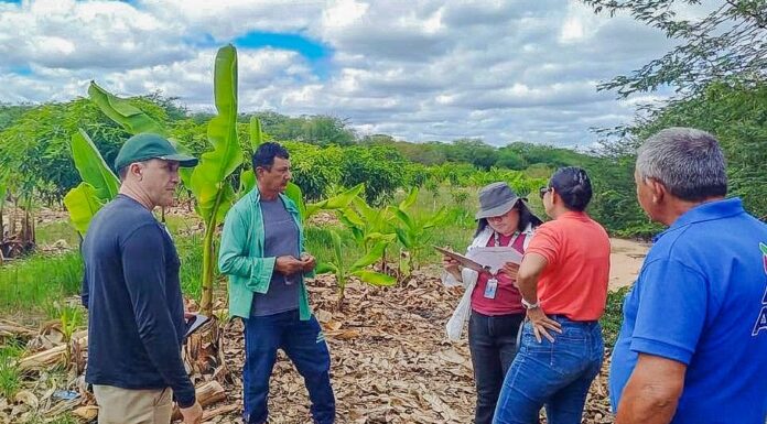 ADR inicia visitas técnicas a produtores cadastrados no Programa de Aquisição de Alimentos em Juazeiro