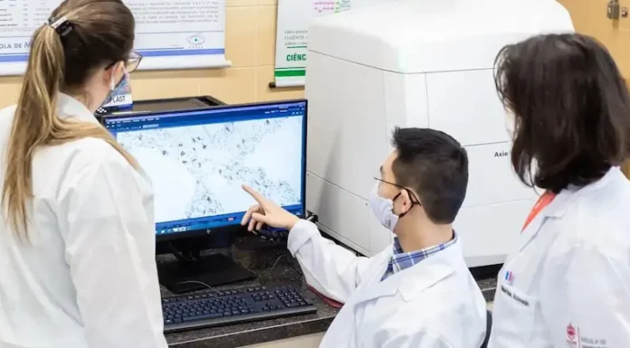 SUS vai oferecer teste genético para câncer de mama