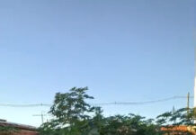Morador relata abandono de terreno baldio no bairro Maringá, em Juazeiro, e cobra fiscalização