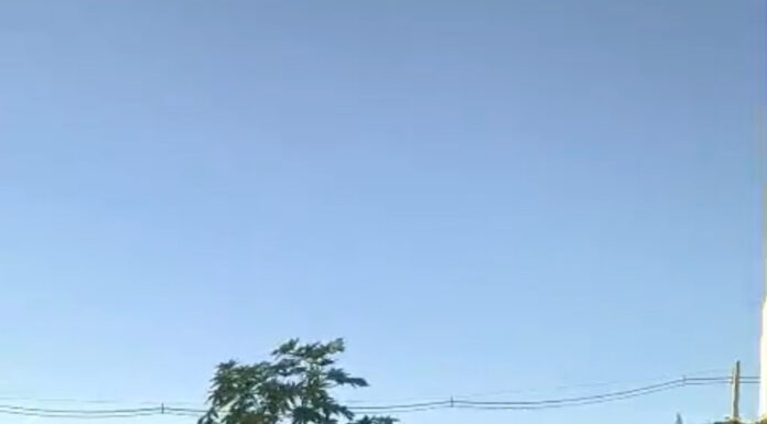 Morador relata abandono de terreno baldio no bairro Maringá, em Juazeiro, e cobra fiscalização