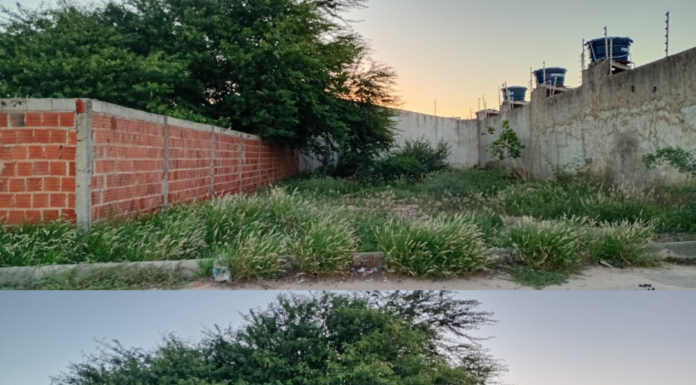 Moradora do bairro Monte Serrat, em Juazeiro, denuncia transtornos causados por terrenos abandonados próximos à sua residência