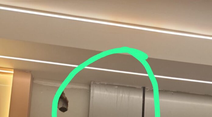 Após horas preso em estrutura de clínica, gato é resgatado e ganha novo lar em Juazeiro