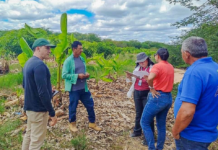 ADR inicia visitas técnicas a produtores cadastrados no Programa de Aquisição de Alimentos em Juazeiro