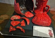 Do vandalismo à memória: Exposição na Câmara relembra destruição golpista de 8 de janeiro