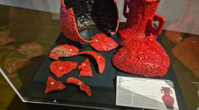 Do vandalismo à memória: Exposição na Câmara relembra destruição golpista de 8 de janeiro