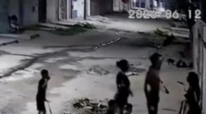 Criança de 3 anos morre após ser atingida durante ataque a tiros em Petrolina