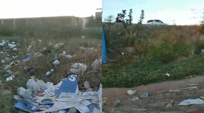Moradoras do bairro Jardim São Paulo, em Juazeiro, chamam atenção para o acúmulo de mato e lixo e cobram ações de limpeza pública; SESP responde