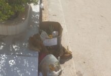 Moradora denuncia acúmulo de lixo após feirinha do Alto do Alencar, em Juazeiro