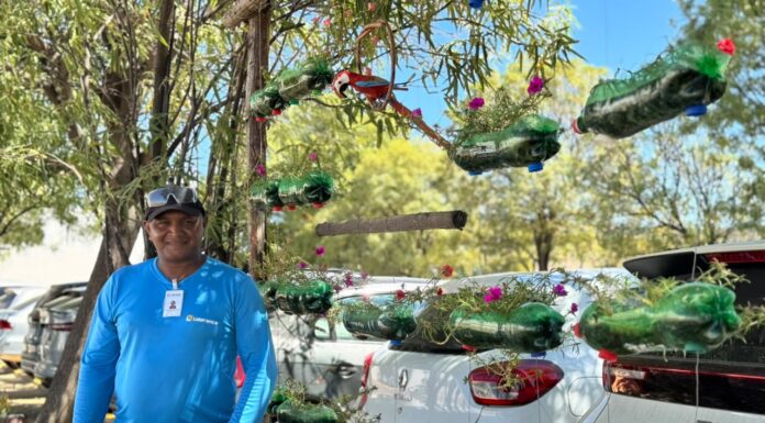 No HU-Univasf, beleza e leveza fazem parte de jardim feito com materiais recicláveis