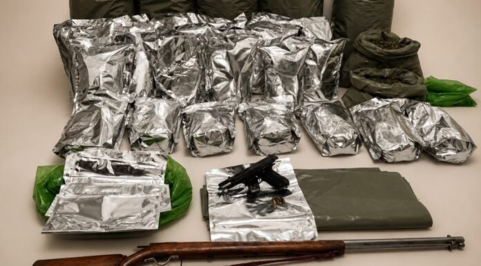 Cerca de 170 kg de maconha e armas de fogo são apreendidos pela PM na zona rural de Casa Nova