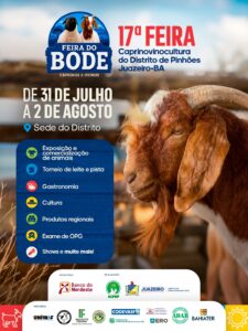 36da355a-15ba-4365-9f35-484a68c00f6a