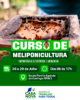 Prefeitura de Casa Nova fortalece produção de mel e preservação de abelhas nativas com curso gratuito de meliponicultura