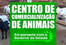 Centro de Comercialização de Animais é confirmado e vai fortalecer a agropecuária de Casa Nova