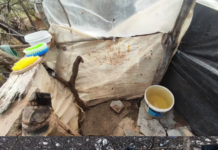 Sem água potável e em alojamentos precários: 20 trabalhadores são resgatados de condições análogas à escravidão em obras da Codevasf em Casa Nova e Sento Sé