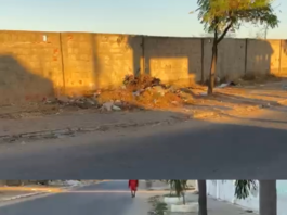 Morador do bairro Castelo Branco, em Juazeiro, relata lixo e mato na avenida Rio Preto e solicita ação da SESP