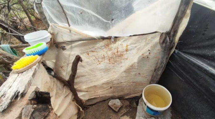 Sem água potável e em alojamentos precários: 20 trabalhadores são resgatados de condições análogas à escravidão em obras da Codevasf em Casa Nova e Sento Sé