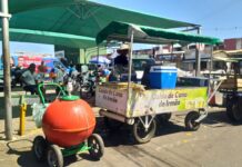 AMA realiza cadastramento de ambulantes informais no Mercado do Produtor de Juazeiro