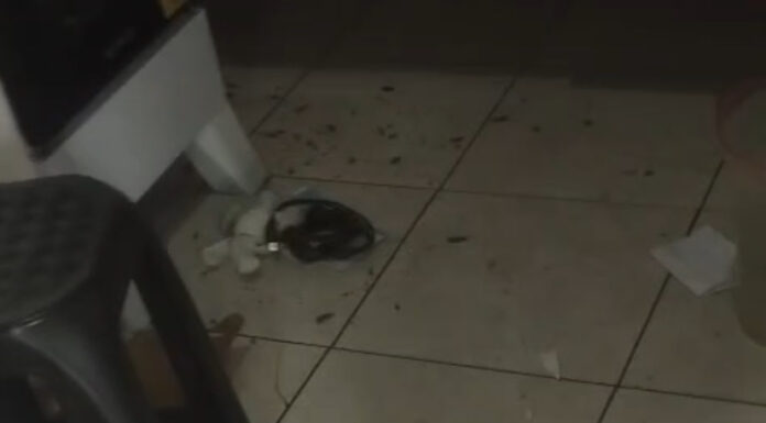 Comerciante denuncia arrombamento e furto em estabelecimento no Terminal de Ônibus de Juazeiro e cobra policiamento: “Precisamos urgentemente que os órgãos de segurança atuem”