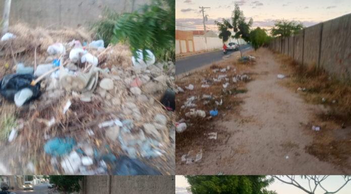 “A situação de abandono chegou a um nível alarmante”, dizem moradores ao pedirem limpeza urgente nos bairros Tancredo Neves e Dom Tomaz em Juazeiro