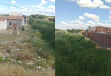 Moradores do Jardim São Paulo, em Juazeiro, voltam a cobrar limpeza de canal e denunciam acúmulo de mato, lixo e falhas na coleta