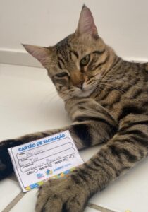 Mais de 500 animais são vacinados no Dia D da Campanha Antirrábica em Juazeiro; confira pontos de vacinação