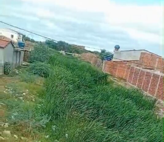 Moradoras do Jardim São Paulo, em Juazeiro, reconhecem limpeza no bairro, mas cobram conclusão do serviço com desobstrução de canal: “nossa maior preocupação é o canal”; SESP esclarece