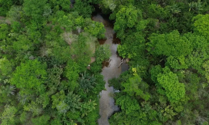 dji_0259_0