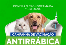Casa Nova inicia campanha de vacinação antirrábica para cães e gatos nesta terça-feira (21)