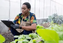 Trilha Sabores da Terra chega a Remanso com capacitação para mulheres empreendedoras rurais