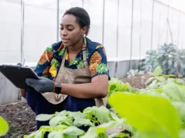 Trilha Sabores da Terra chega a Remanso com capacitação para mulheres empreendedoras rurais