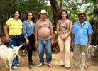 Distrito de Massaroca se prepara para a 17ª Feira da Caprinovinocultura