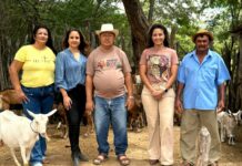 Distrito de Massaroca se prepara para a 17ª Feira da Caprinovinocultura