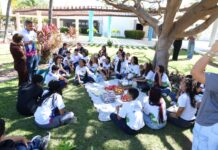 Adolescentes do interior conquistam espaço inédito no NUCA Petrolina