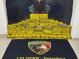 Cerca de 93 kg de maconha são localizados no porto fluvial de Petrolina; Polícia Civil investiga o crime
