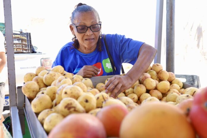 Feira-Solidaria-da-AMA-Fotos-Anamaue-1-1536x1024