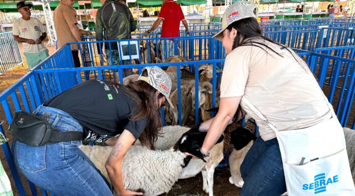 PROJUA no Desenvolvimento Rural: tradição, cultura e cidadania marcam a abertura da 17ª Feira do Bode de Pinhões