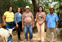 Distrito de Massaroca se prepara para a 17ª Feira da Caprinovinocultura