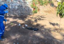 Petrolina e Juazeiro unem esforços em mutirão de limpeza na Ilha do Fogo