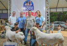 17ª Feira do Bode de Massaroca segue até este domingo (23) promovendo tradição, negócios e a valorização de quem vive do campo